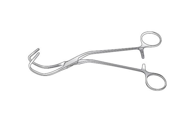 Professional Barber Scissors 