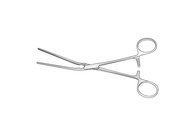 Professional Barber Scissors 