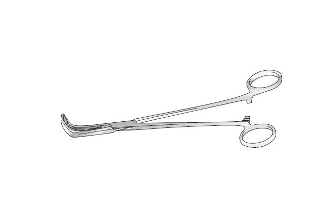Professional Barber Scissors 