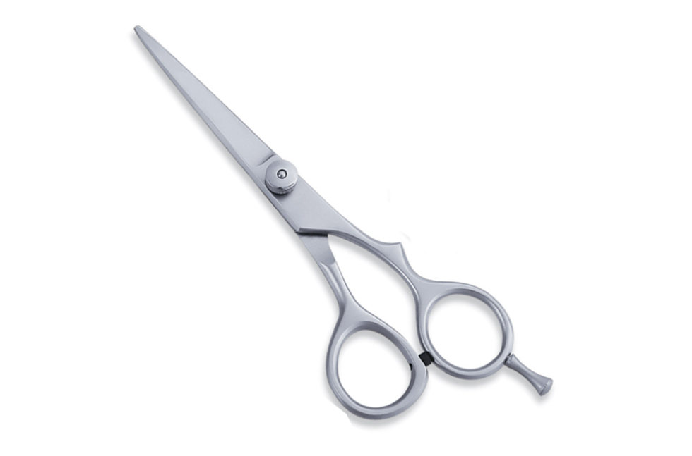 Professional Barber Scissors 